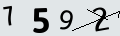 verifycode